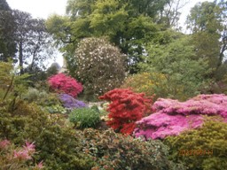 Older visit to a Garden